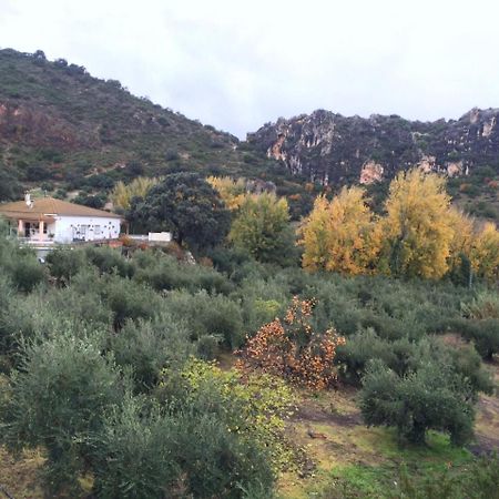 Villa La Quinta Priego de Córdoba Buitenkant foto