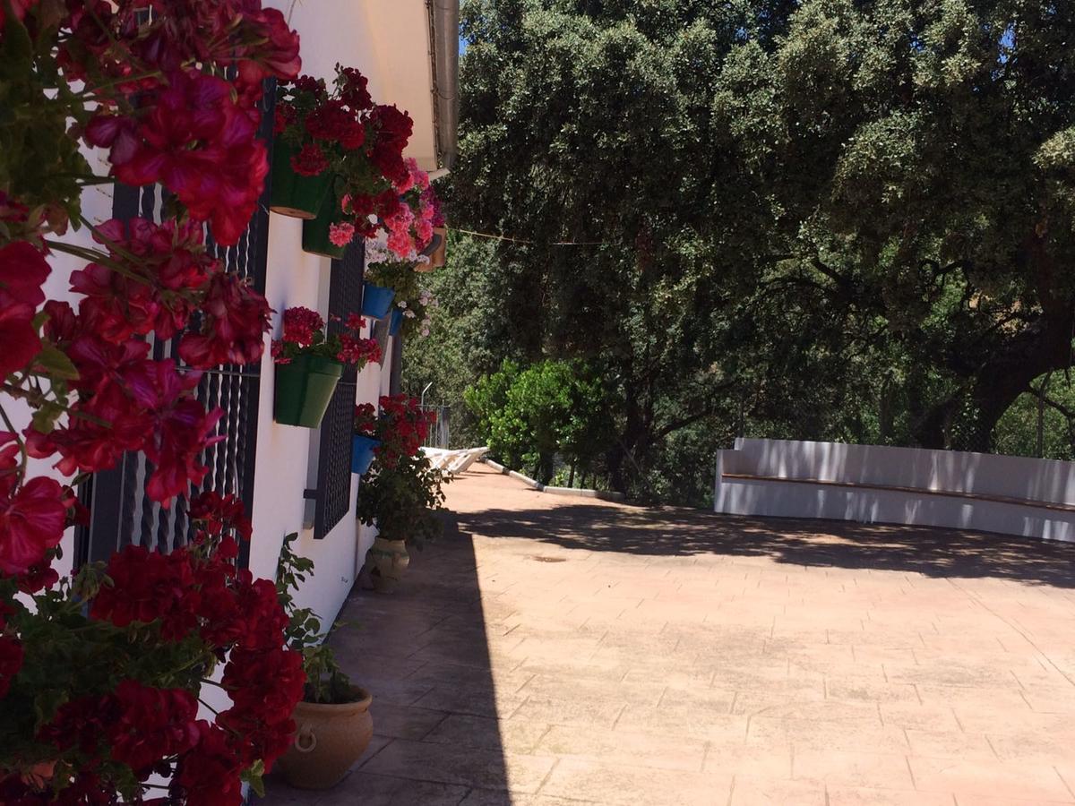 Villa La Quinta Priego de Córdoba Buitenkant foto
