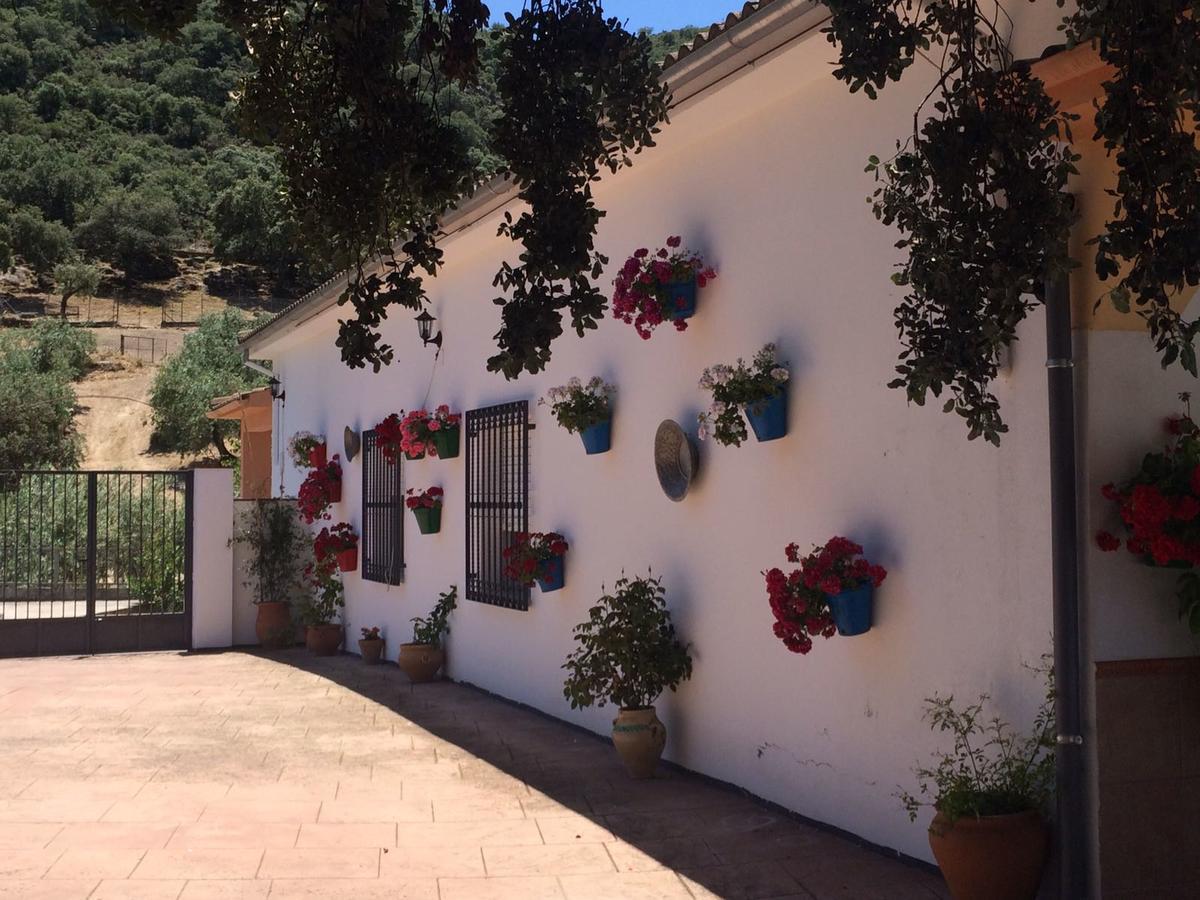 Villa La Quinta Priego de Córdoba Buitenkant foto