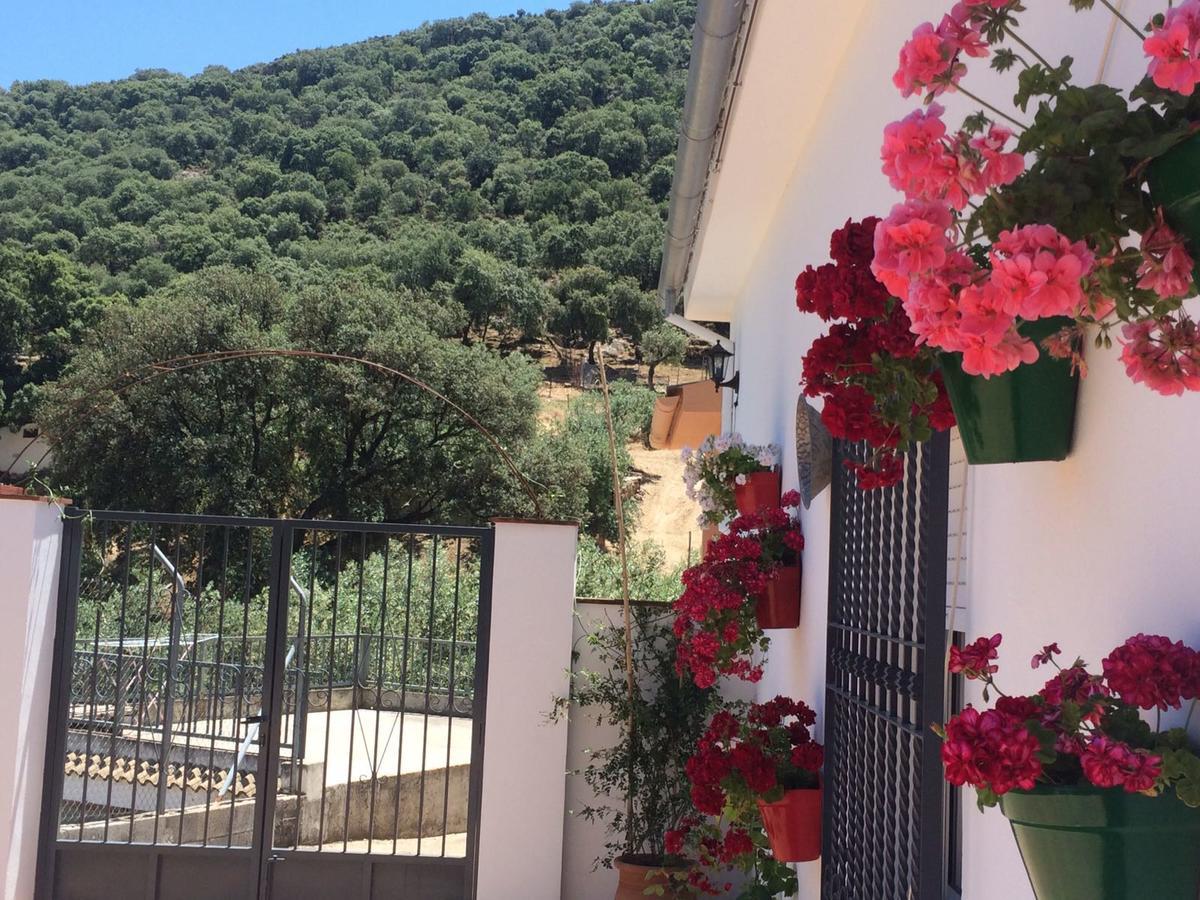 Villa La Quinta Priego de Córdoba Buitenkant foto