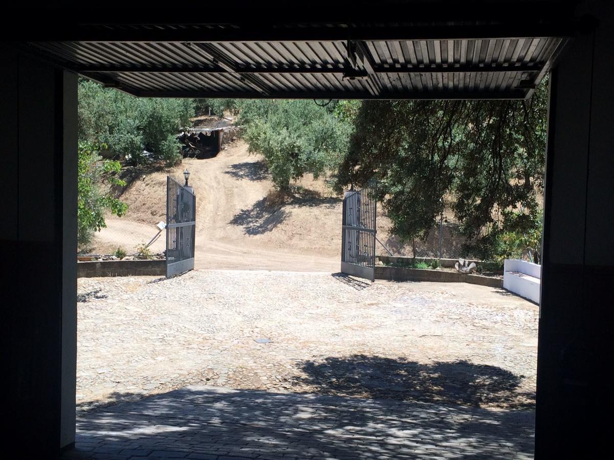 Villa La Quinta Priego de Córdoba Buitenkant foto
