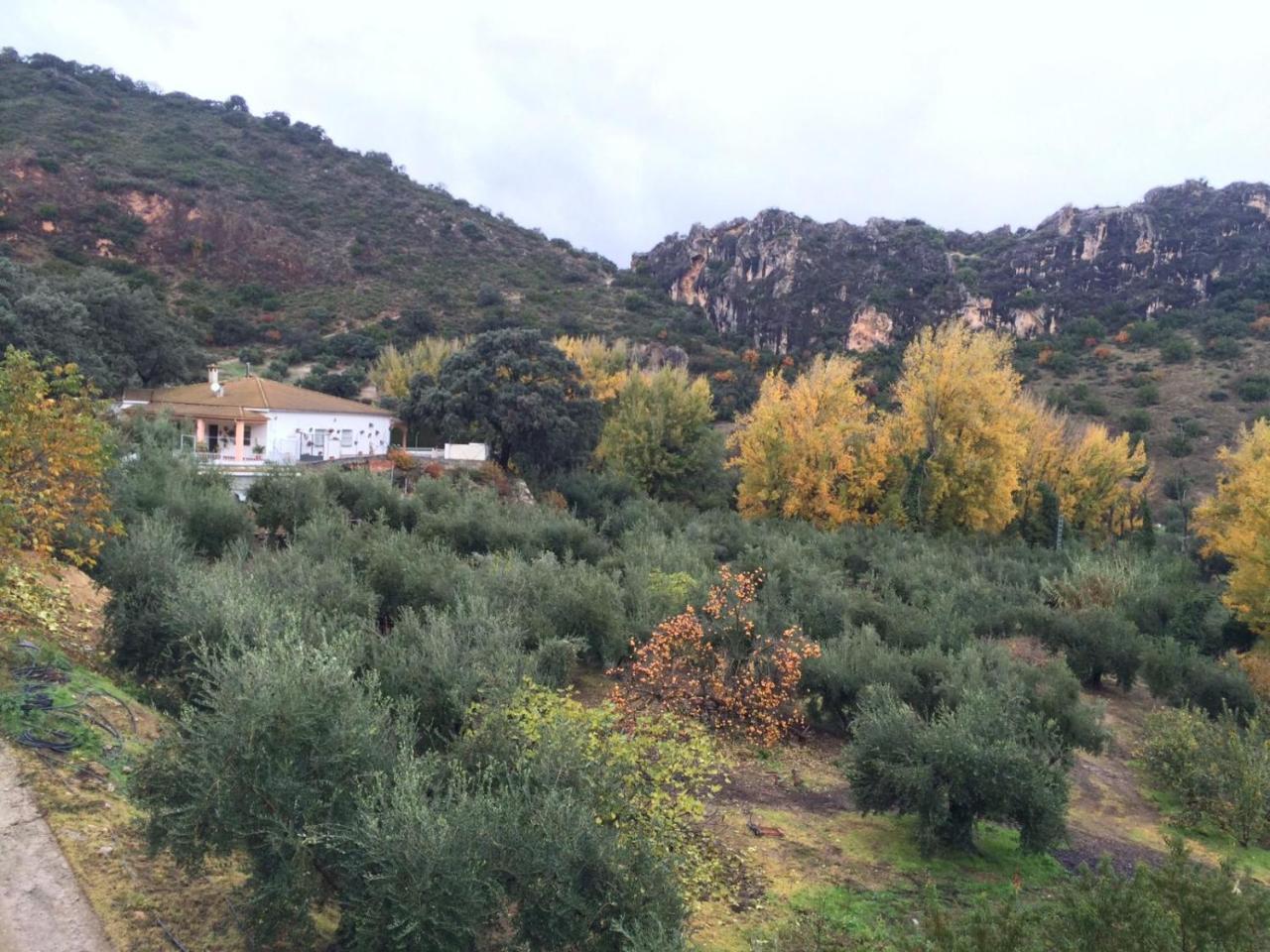 Villa La Quinta Priego de Córdoba Buitenkant foto